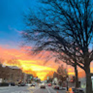 Meet your Posher, Millie